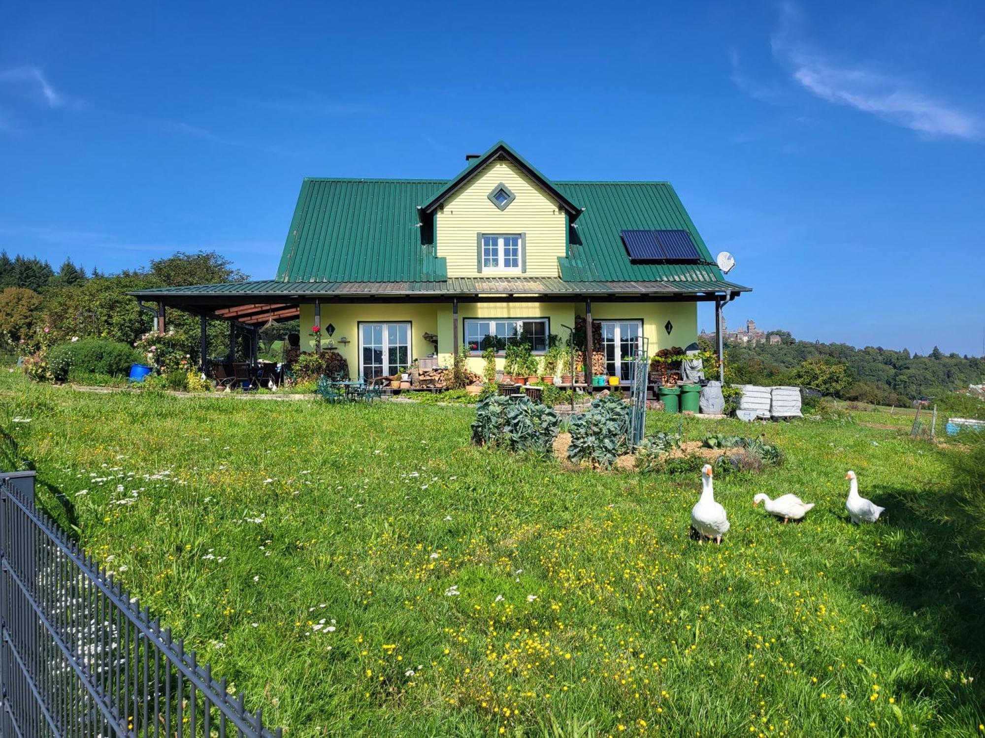 Kleine Einzigartige Ferienwohnung Auf Dem Bauernhof, Direkt In Der Natur Mit Blick Auf Schloss Braunfels Exterior photo