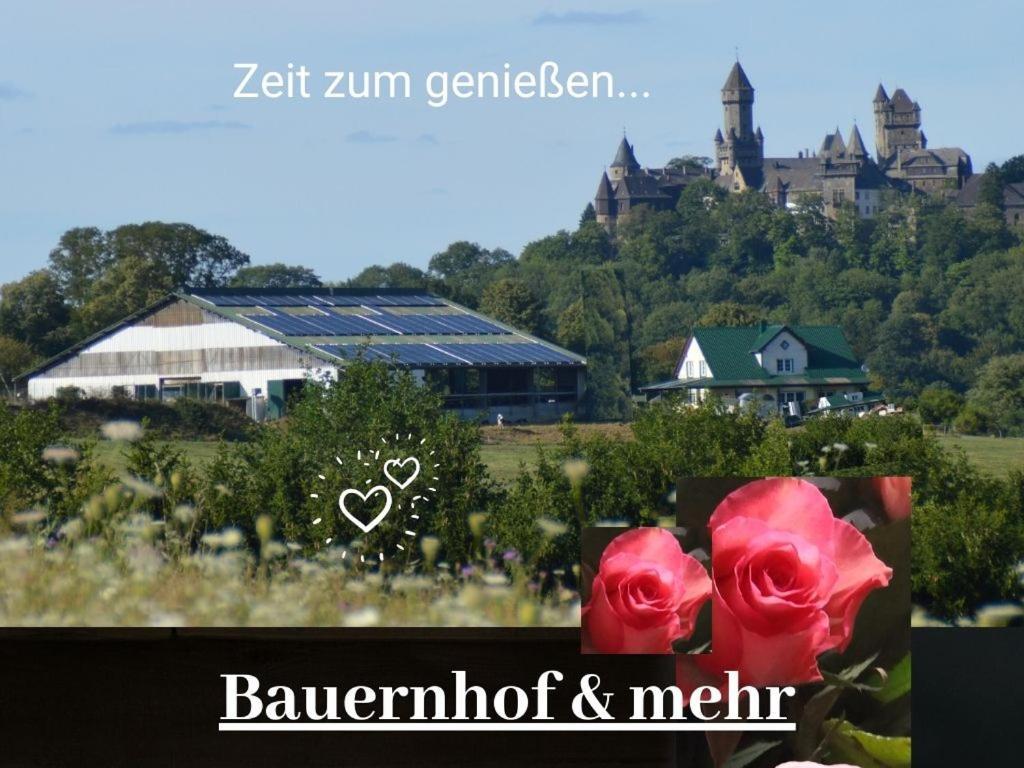 Kleine Einzigartige Ferienwohnung Auf Dem Bauernhof, Direkt In Der Natur Mit Blick Auf Schloss Braunfels Exterior photo